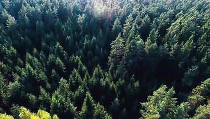 Evil Encounters Season 1 - Episode 4 - Hunting For Trouble