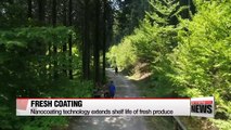 Nanocoating technology extends shelf life of fresh produce