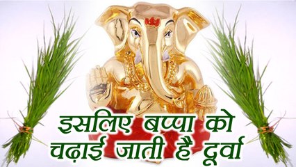 Ganesh-chaturthi:  भगवान गणेश को क्यों चढ़ाते है दूर्वा | Why Lord Ganesha offered dhruva | Boldsky