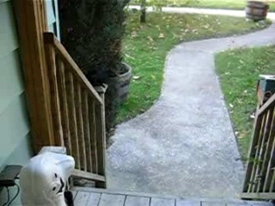 elwin and edgar the squirrels
