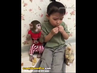 Kendi Hakkını Bitirip Kardeşinin Hakkına Çöken Abi Potansiyelli Maymun