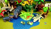 Playmobil City Life Toy Wild Animals Large Zoo │ Childrens Petting Zoo Building Sets Vide