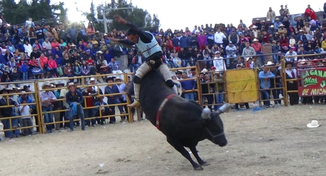 LOS DESTRUCTORES DE MEMO OCAMPO Los Mejores Toros Salvajes De Mexico Y Valientes Jinetes