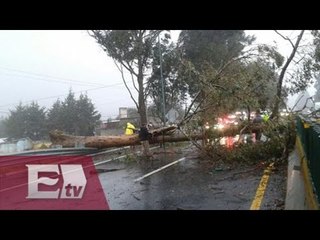 Caída de árbol provoca cierre de carretera México-Cuernavaca/ Yazmín Jalil