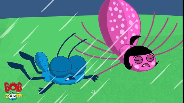 A Dona Aranha - Bob Zoom