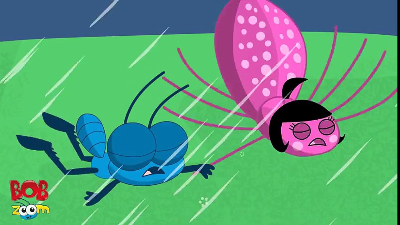 A Dona Aranha - Bob Zoom