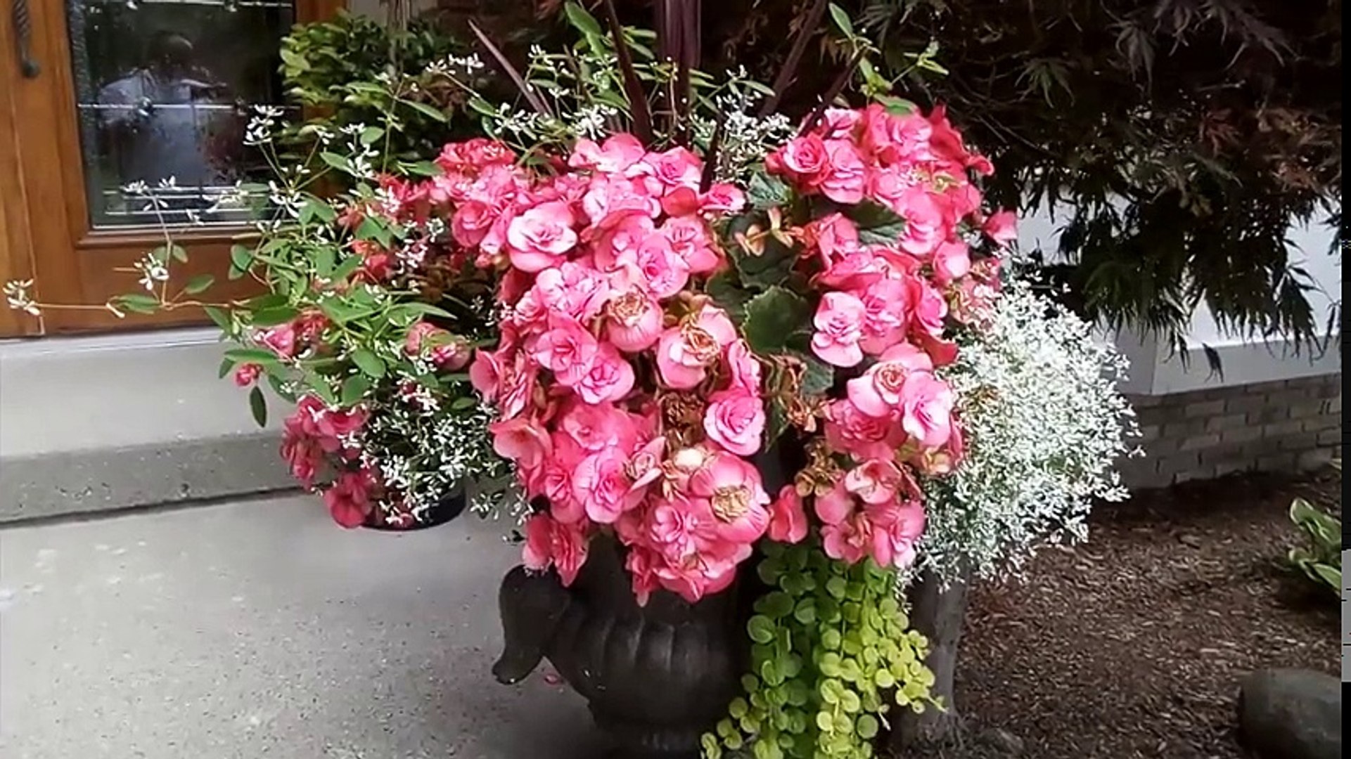 $50 Smartphone Review- BLU R1 HD by Amazon