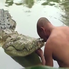 Incroyable Amitié et confiance entre animaux et maitres. Bluffant