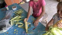 Blé enfants écaillage avec vlog mer ☼ enfants se brossent les délicieux maïs sucré ☼ Krynica 2016