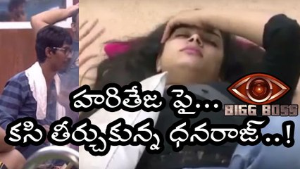 Bigg Boss Telugu : Dhanaraj Targeted To Hariteja In The Show