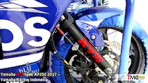 Manuelle technologie ouvert ouverture Kawasaki Ninja 250 Version AP250 ARRC 2017