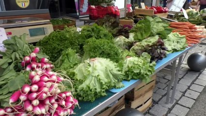 D!CI TV : le marché de Gap déjà tourné vers la rentrée