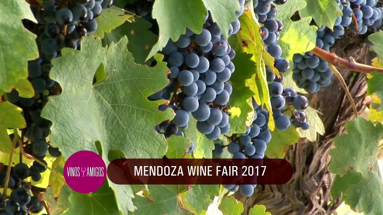 Vinos y Amigos Programa 169 Bloque 3