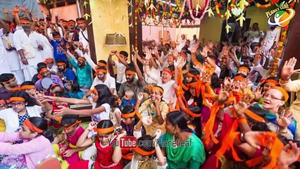 Scientific Facts About 21 Leaves Used In Ganapati Puja వినాయక వ్రతంలో 21 పత్రులు ఎందుకో మీకు తెలుసా_