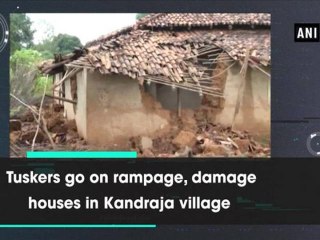 കാട്ടാനക്കൂട്ടം ഗ്രാമത്തിൽ നാശനഷ്ടങ്ങൾ വരുത്തി | Oneindia Malayalam