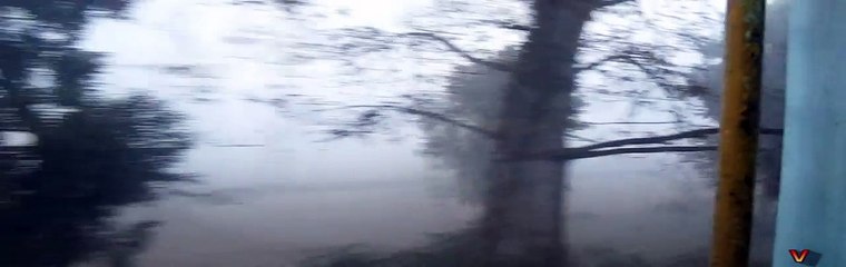 NER's GD WDM-3A Locobot shows its acceleration through thick fog - Bhaironganj on ECR