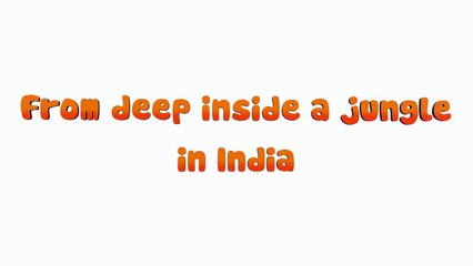 Let's save Bobby - Official Teaser | Save Tiger