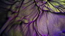 Rayleigh-Benard Convection