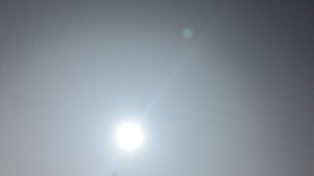 La Granvillaise propose des Sorties en mer pendant le festival des Voiles de travail