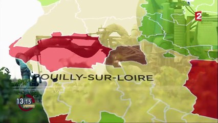 "13h15". Les zones viticoles en France consomment 20% des pesticides pour moins de 4% de la surface agricole