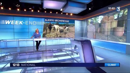 Alerte sécheresse : la situation dramatique des agriculteurs