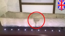 800-year-old stone coffin damaged by visitor who put a child in it