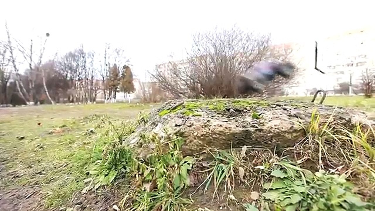 Monster Car Jump Through the Fire