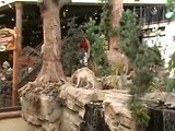 A Kid Jumped Into A Bass Pro Shops Fish Tank, And It Ended Very Badly