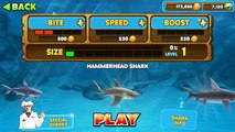 Hungry Shark Evolution All sharks information including Secret/Special Sharks