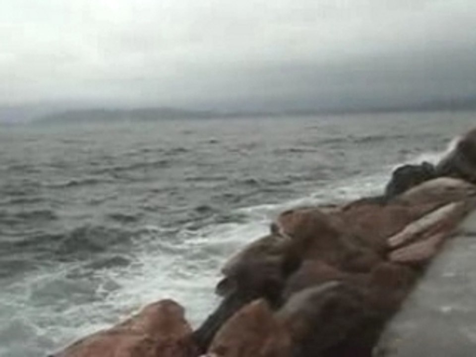 Vague Wave