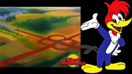 Carteira de Motorista - 019 (Dublado PT-BR)