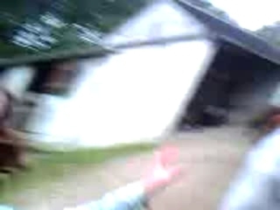 clem é flo