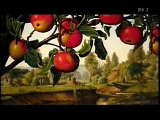 美しき大宇宙 統一理論への道 1-01