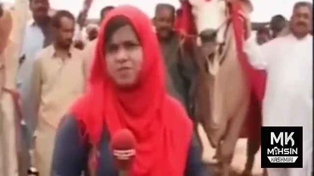 ASIA KA SUB SA BRA BULL 55 lakh rupes ka