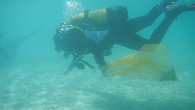 Nettoyage du lac d'Annecy après la Fête du Lac