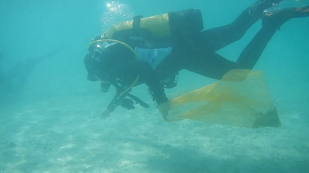 Nettoyage du lac d'Annecy après la Fête du Lac
