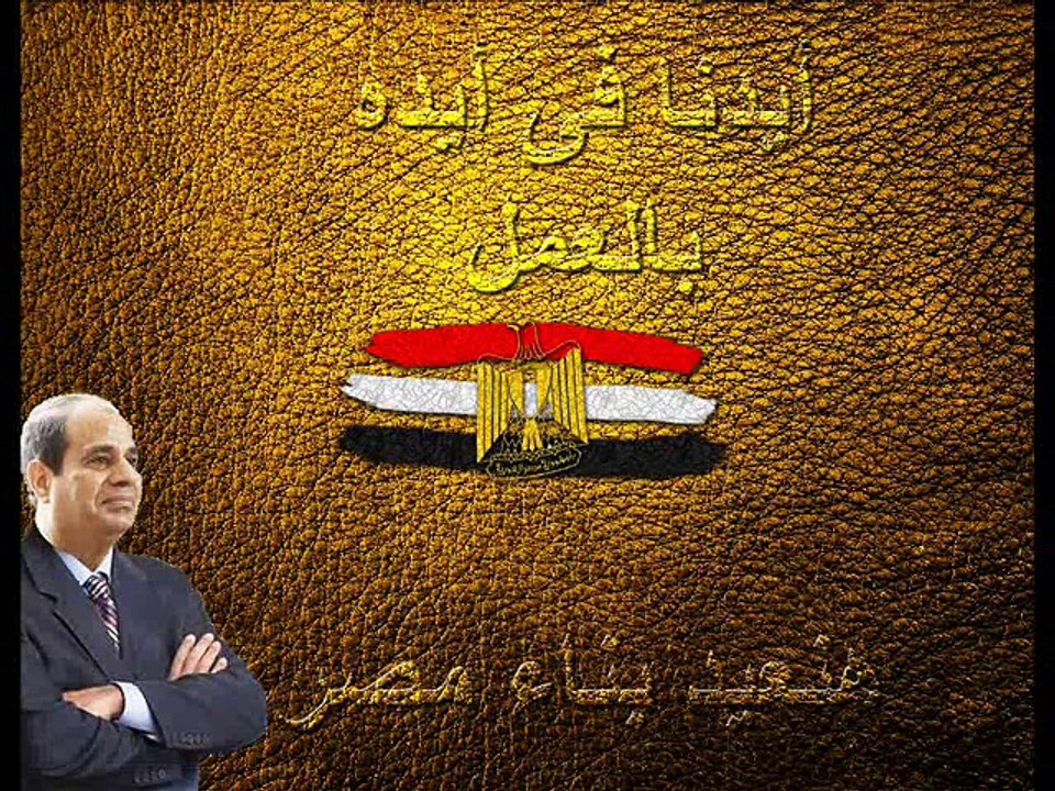 نبض الوطن - ياسر الشرقاوى