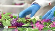 Gastronomie : les fleurs comestibles ont envahi les cuisines des grands chefs