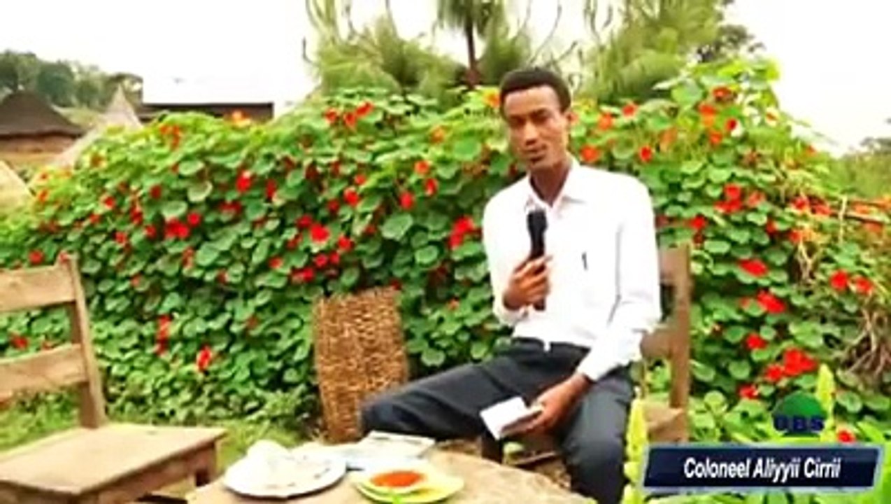 kolonel aliyii cirii enyu?obsaan dhagefadha oromo tiya hanga xumurati