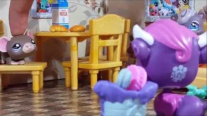 Minişler Halı Yıkıyor | LPSEM miniş videoları