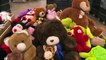 Goodwill Donates Loads of Stuffed Animals for Police Officers to Comfort Kids
