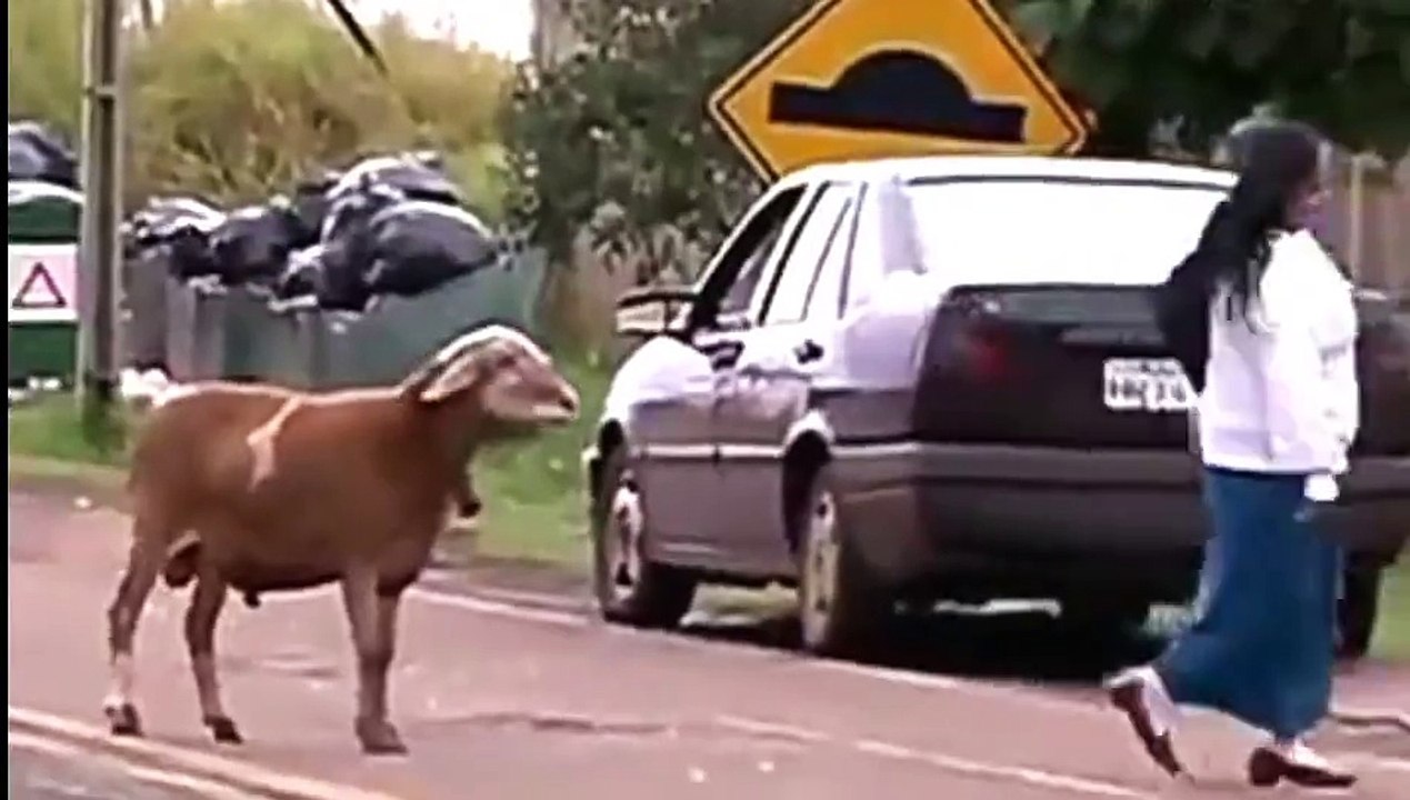 Funny Movements Share With Your Friends