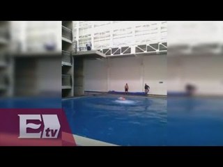 Impactantes imágenes de la muerte de un escolta en Guanajuato / Kimberly Armengol