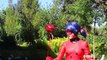 Miraculous Ladybug & Chat Noir Real Life Cosplay! - 