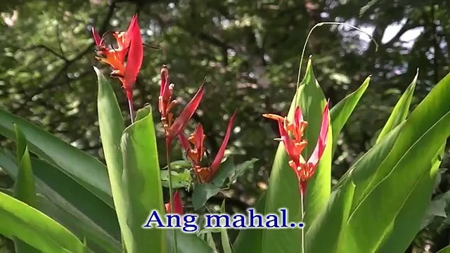 AKOY SAYO AT iKAY AKiN LAMANG BY: FiRST CiRCLE [ LYRiCS ]