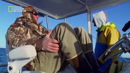 WickedtunanorthvssouthIIep2Bombsaw