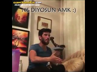 Fenerbahçe'lilerin Vardar Maçındaki Hislerine Tercüman Olan Genç (Küfür İçerir)