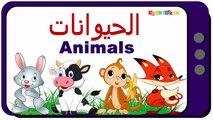 Animals in Arabic | الحيوانات باللغة العربية | Syraj Kids