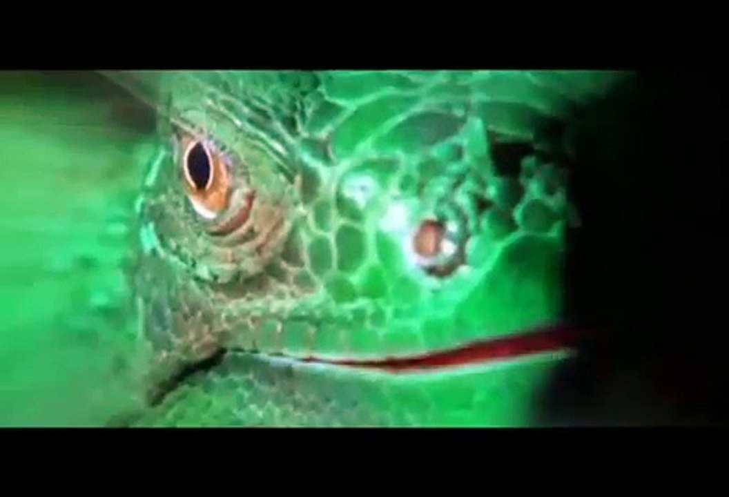 BBC - Wild South America