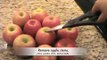 Cómo para hacer dulces manzanas dos formas tradicional dulces manzanas y alegre ranchero dulces manzanas